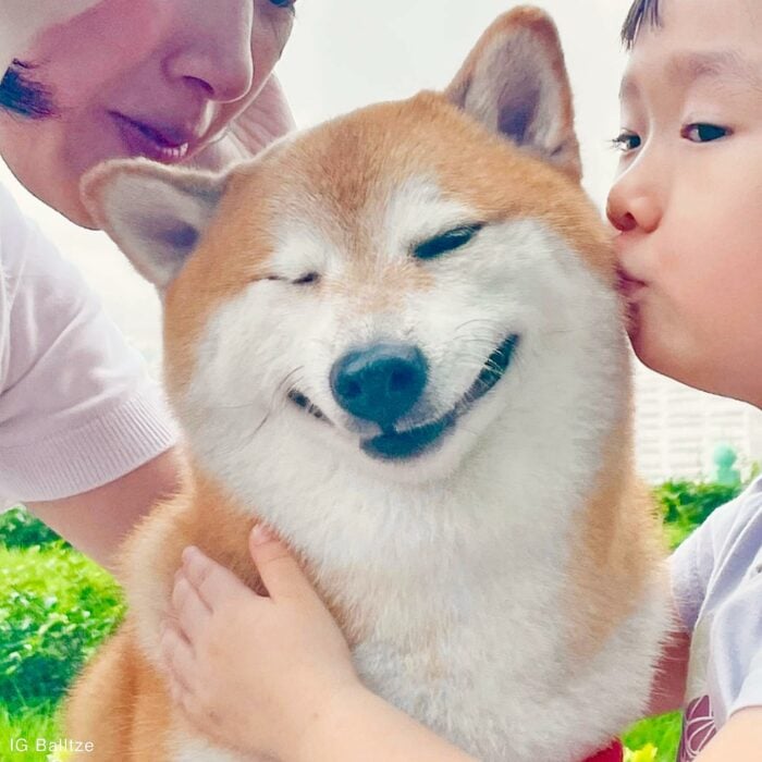 fotografía de un niño y una mujer dándole un beso al famoso perrito cheems 