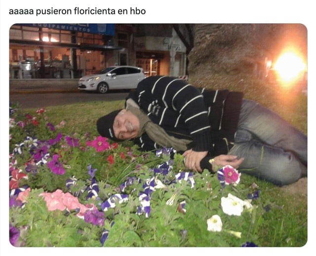 meme sobre floricienta de un hombre acostado sobre el césped lleno de flores 