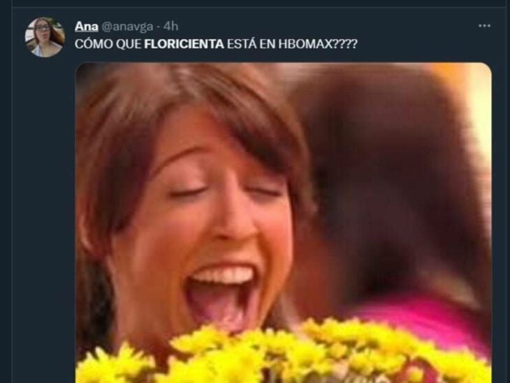 captura de pantalla de un meme sobre la serie de Floricienta 