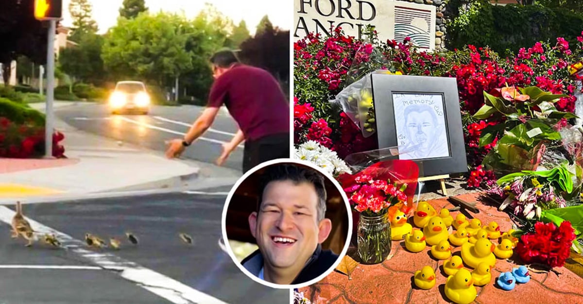 Man dies after being run over while helping ducklings to cross the street