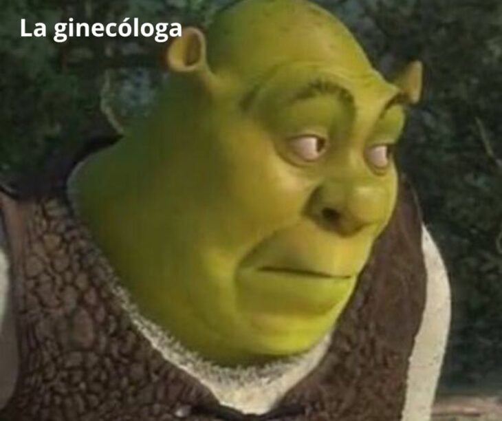 Shrek cara meme