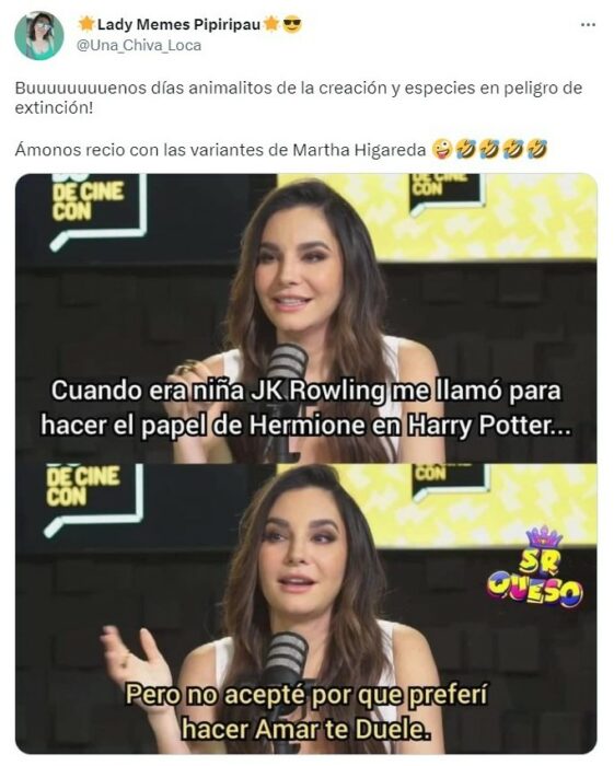 Martha Higareda y los memes por sus anécdotas 