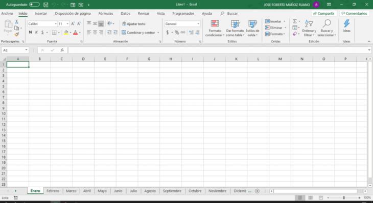 una hoja de Excel en blanco
