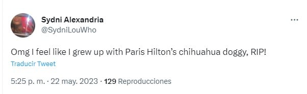 captura de pantalla de una reacción en Twitter a la muerte de la perrita Chihuahua de Paris Hilton 