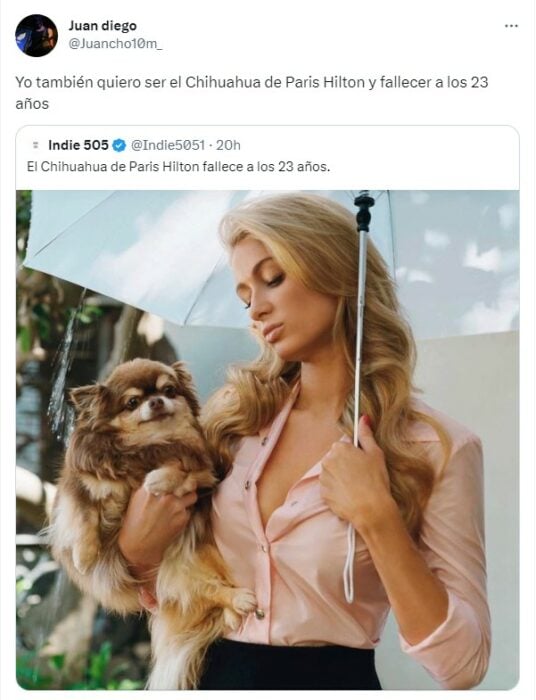 captura de pantalla de una persona hablando al respecto de la muerte de la perrita Chihuahua de Paris Hilton 