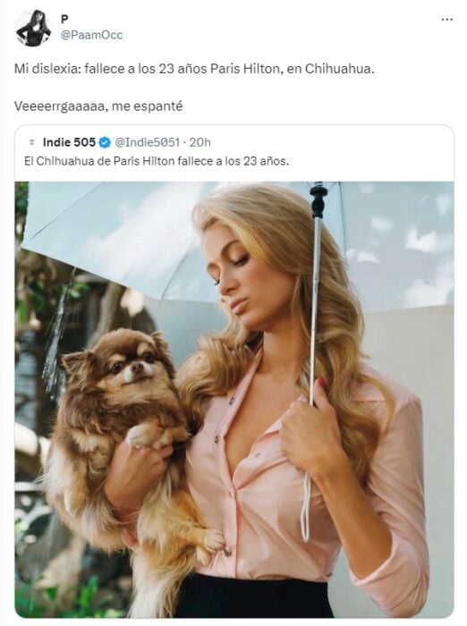 captura de pantalla de la reacción una usuaria a la muerte de la perrita Chihuahua de Paris Hilton 