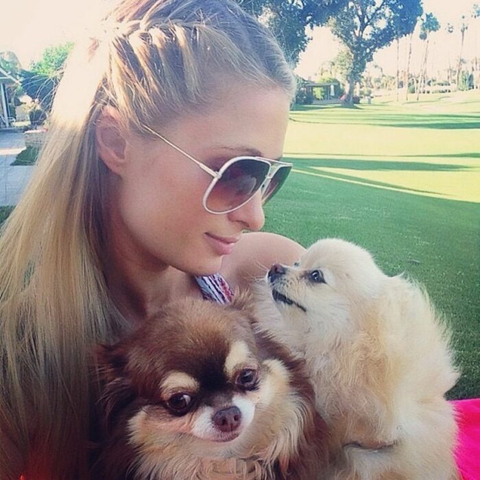 PAris Hilton cargando a sus dos perritos chihuahua