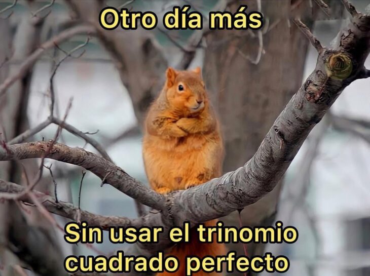 Otro día sin usar el trinomio cuadrado perfecto