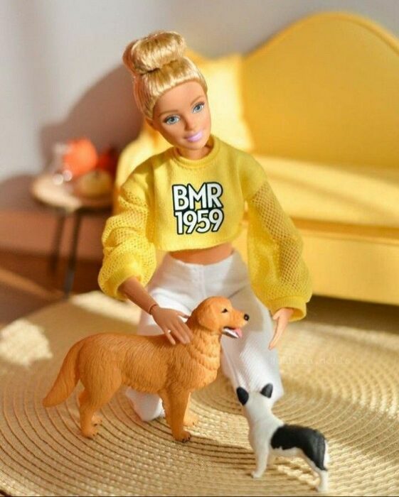 barbie con chonguito alto 