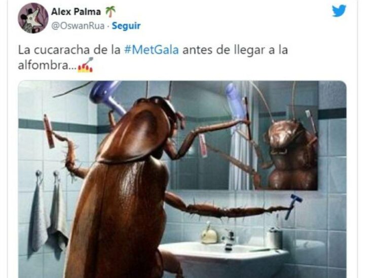 meme cucaracha en la met