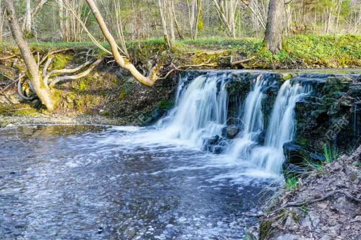 una zona boscosa donde se observa una pequeña cascada que desemboca en un río de aguas cristalinas
