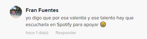captura de pantalla de un comentario en TikTok 