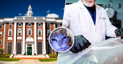 Director de la morgue en Harvard es acusado de vender cadáveres