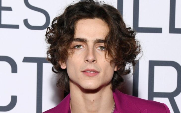 8. Timothée Chalamet