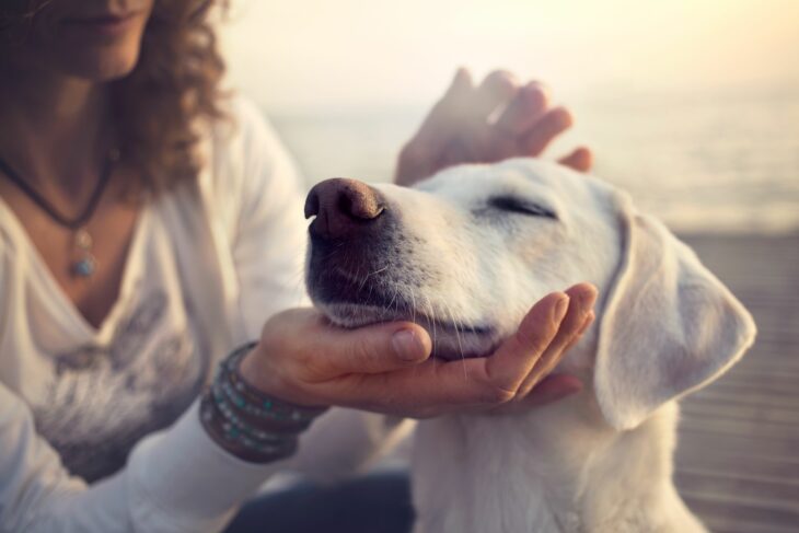 Mujer acariciando la cabeza de un perro con los ojos cerrados 