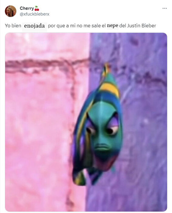 meme de un pez enojado sobre la foto íntima de Justin Bieber