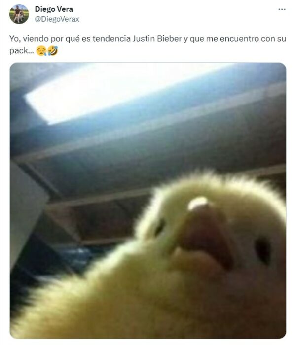 meme de un pollito sobre la filtración de la foto íntima de Justin Bieber en Twitter 