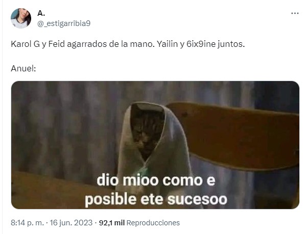 captura de pantalla de un meme sobre Anuel AA 