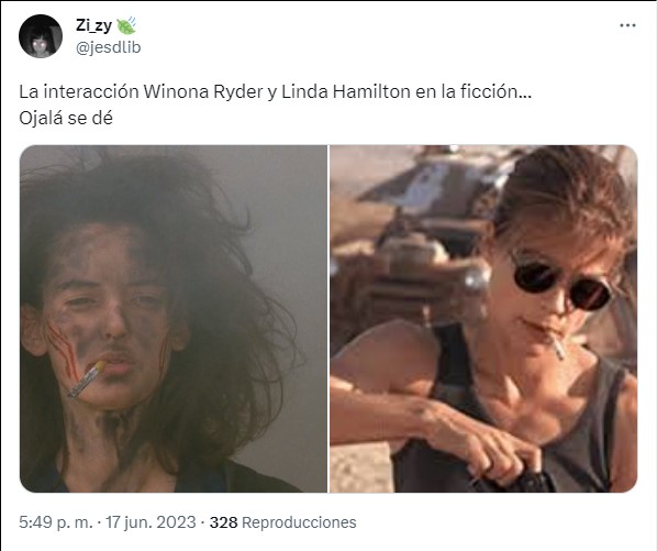 meme sobre Linda Hamilton y Winona Ryder en la serie de Stranger things 5 