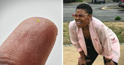 Crean una microbolsa de Louis Vuitton… ¡¿para las hormigas?!