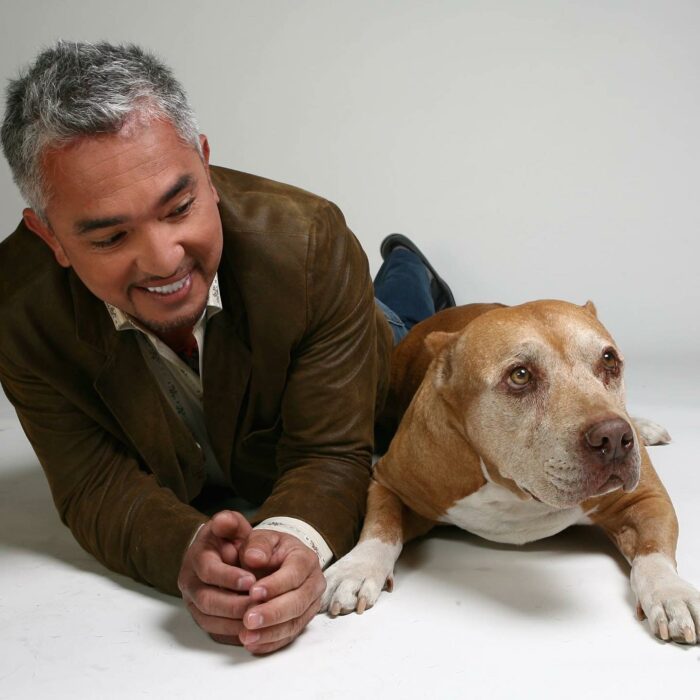 Cesar Millan acostado boca abajo con un perro