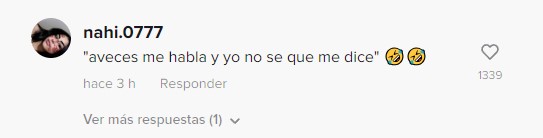 captura de pantalla de un comentario en la imitación de Rauw Alejandro a Rosalía 