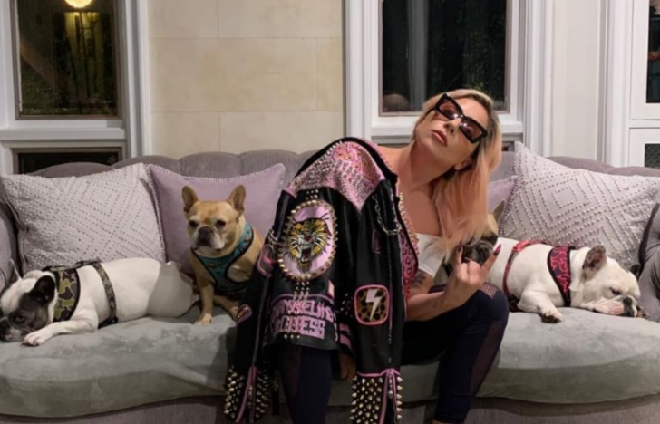 Lady Gaga posando en un sofá con su perros bulldog franceses 