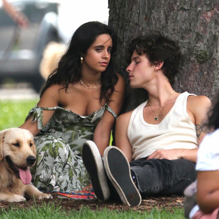 Camila Cabello and Shawn Mendes sitting on the grass with a dog 