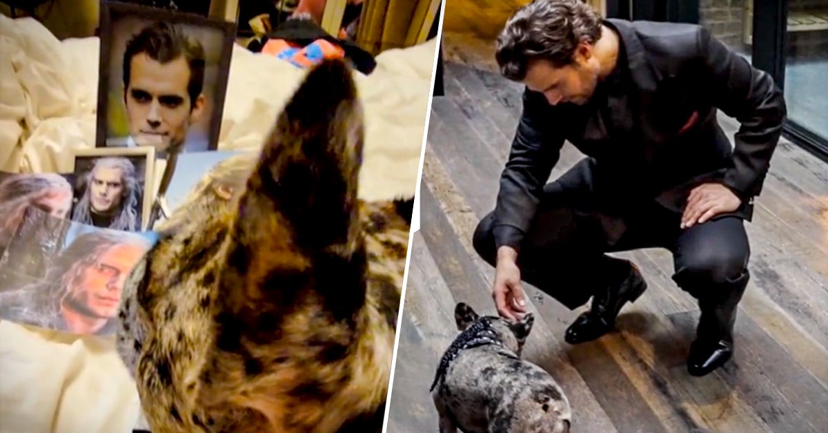 Puppy fulfills his dream of meeting Henry Cavill and we can’t stand his excitement