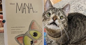 Gatita con síndrome de Down tiene su propio libro y es adorable