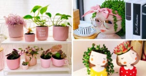 14 Macetas aesthetic para que tus plantas se ven bien chulas