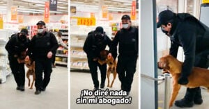 ¡En la movida! Policías sacan a un perrito de la tienda por intentar robar croquetas
